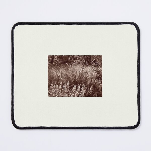 Item preview, A Wild Corner in Kettlewell, Yorkshire. designed and sold by Bobcat's Place.