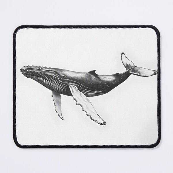 Item preview, Realistic Whale pencil drawing designed and sold by Pencil-Art.