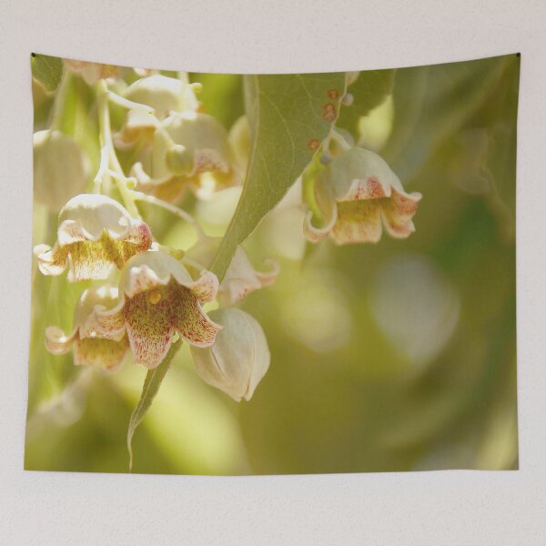 Item preview, Kurrajong in Flower designed and sold by Ohlordi.