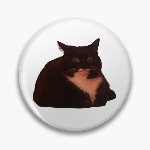Item preview, Crispy Jyn designed and sold by MyCatJyn.