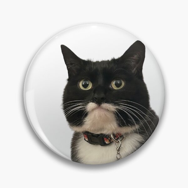 Item preview, Displeased Jyn designed and sold by MyCatJyn.