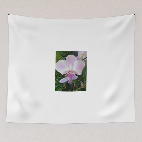 Item preview, Phaleanopsis Orchid, Canberra, Australia. designed and sold by kaysharp.