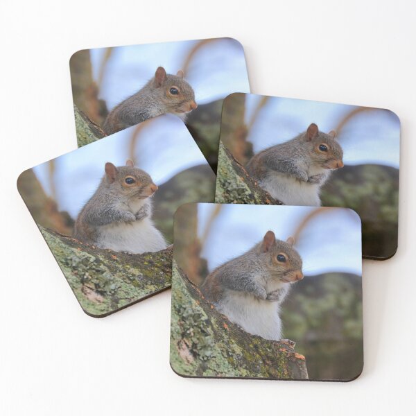Item preview, Squirrel  designed and sold by Parks and X.