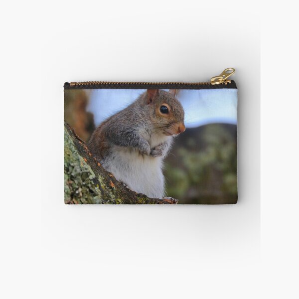 Item preview, Squirrel  designed and sold by Parks and X.
