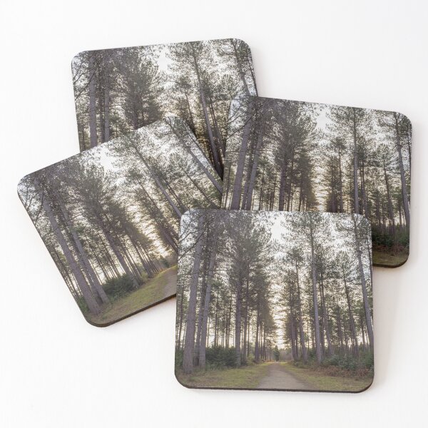 Item preview, Path Through the Pines designed and sold by ADCImages.