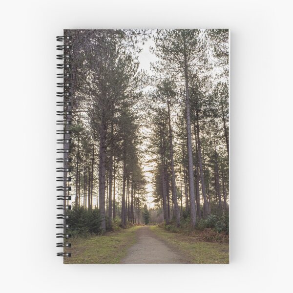 Item preview, Path Through the Pines designed and sold by ADCImages.