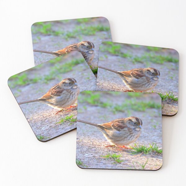 Item preview, Sparrow designed and sold by Parks and X.