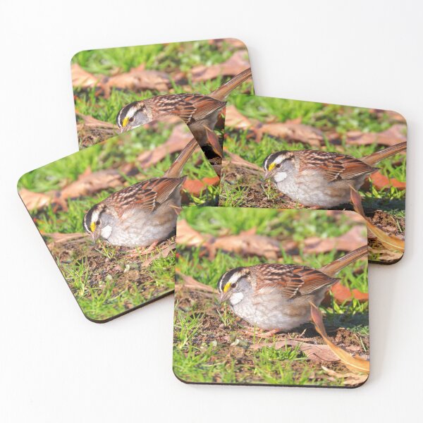 Item preview, White-throated Sparrow  designed and sold by Parks and X.