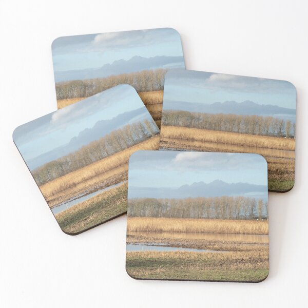 Item preview, Marshland Landscape designed and sold by ADCImages.