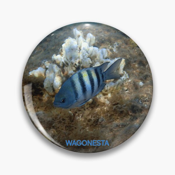 Item preview, Underwater - Sergeant Major  Damselfish in Bonaire by Wagonesta  designed and sold by Wagonesta.