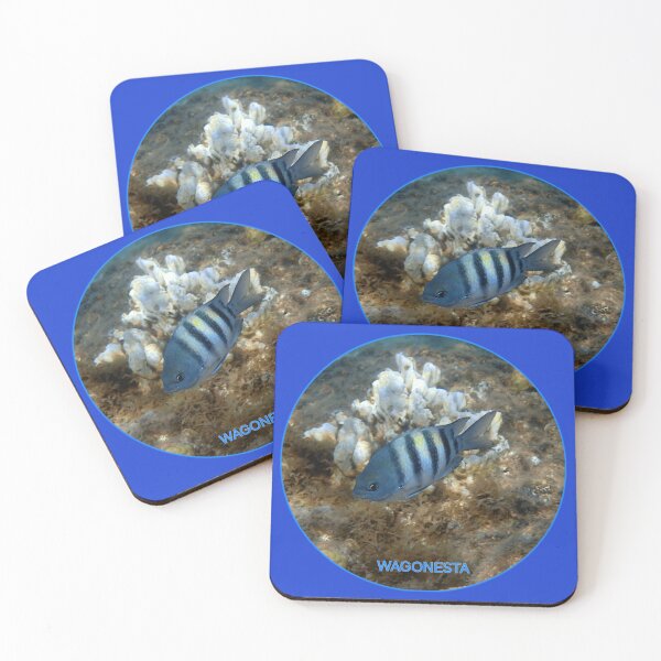 Item preview, Underwater - Sergeant Major  Damselfish in Bonaire by Wagonesta  designed and sold by Wagonesta.