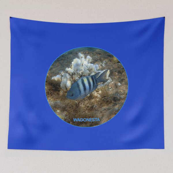 Item preview, Underwater - Sergeant Major  Damselfish in Bonaire by Wagonesta  designed and sold by Wagonesta.