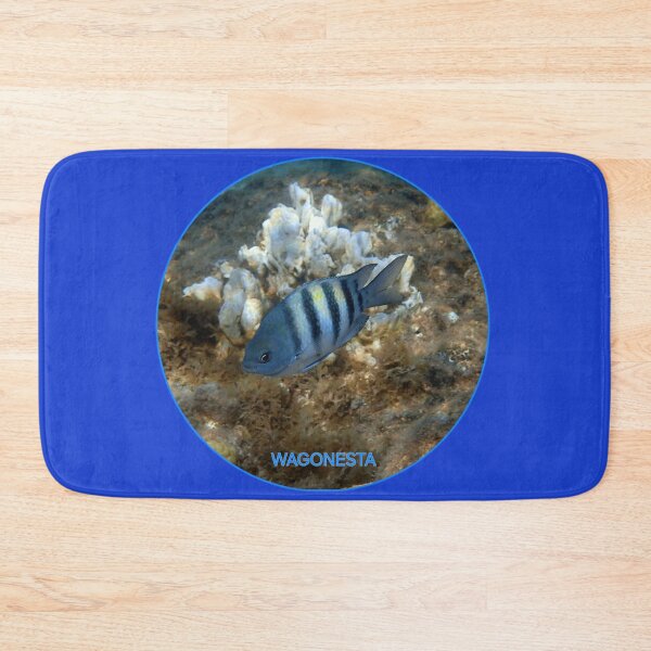 Item preview, Underwater - Sergeant Major  Damselfish in Bonaire by Wagonesta  designed and sold by Wagonesta.