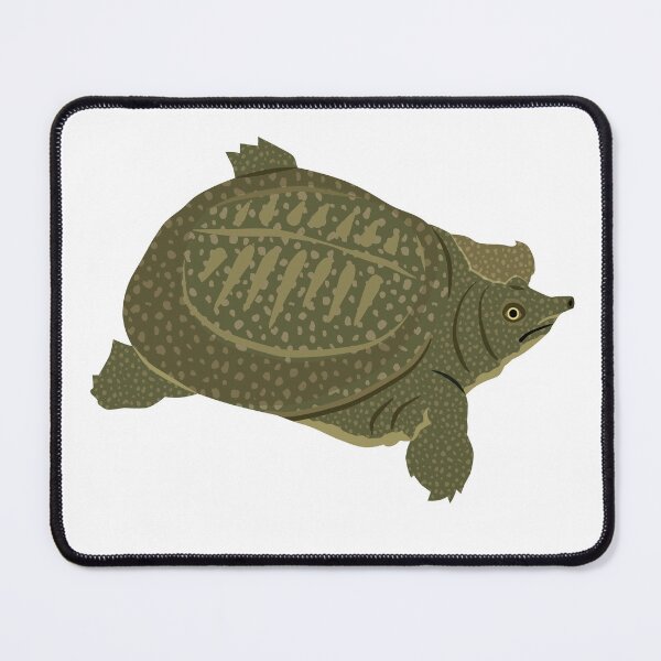Item preview, Chinese Softshell Turtle designed and sold by Rie-TortoTurtle.