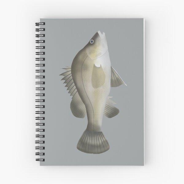 Item preview, Macqurie Perch designed and sold by fishfolkart.