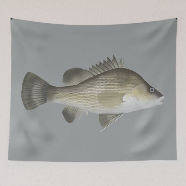 Item preview, Macqurie Perch designed and sold by fishfolkart.