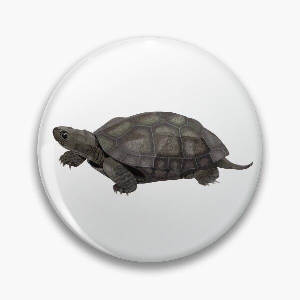 Item preview, Melanistic Reeve's Turtle designed and sold by Rie-TortoTurtle.