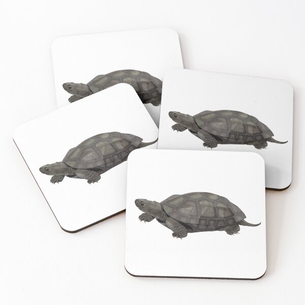Item preview, Melanistic Reeve's Turtle designed and sold by Rie-TortoTurtle.