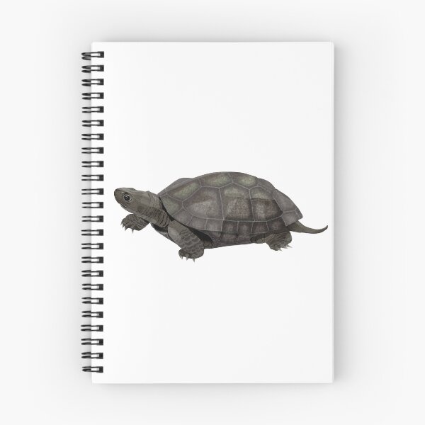 Item preview, Melanistic Reeve's Turtle designed and sold by Rie-TortoTurtle.