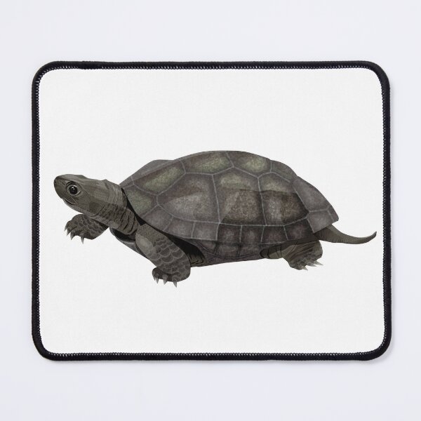 Item preview, Melanistic Reeve's Turtle designed and sold by Rie-TortoTurtle.