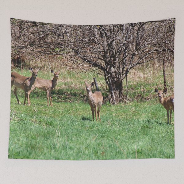 Item preview, Four Sets of Eyes designed and sold by AnnDixon.