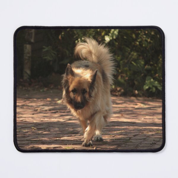 Item preview, Our Pet Lilly designed and sold by Jean-Marie Heyman.
