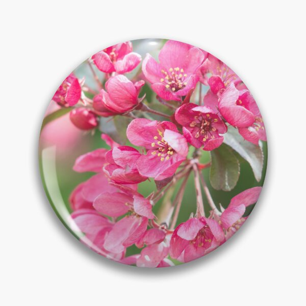 Item preview, Crab Apple Blossom designed and sold by ADCImages.