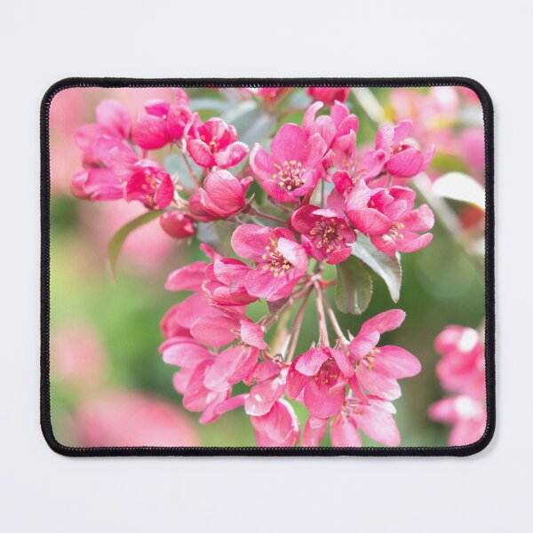Item preview, Crab Apple Blossom designed and sold by ADCImages.