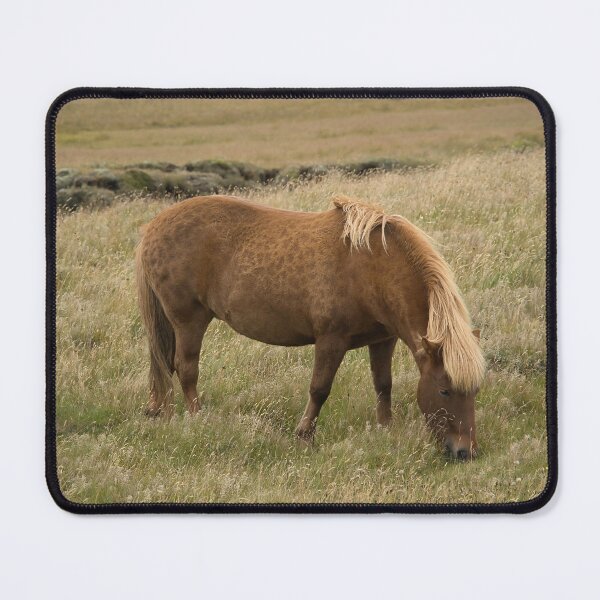Item preview, A lone Icelandic Horse designed and sold by NancyKHajjar.