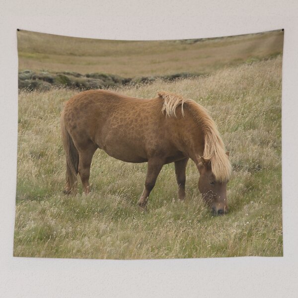 Item preview, A lone Icelandic Horse designed and sold by NancyKHajjar.