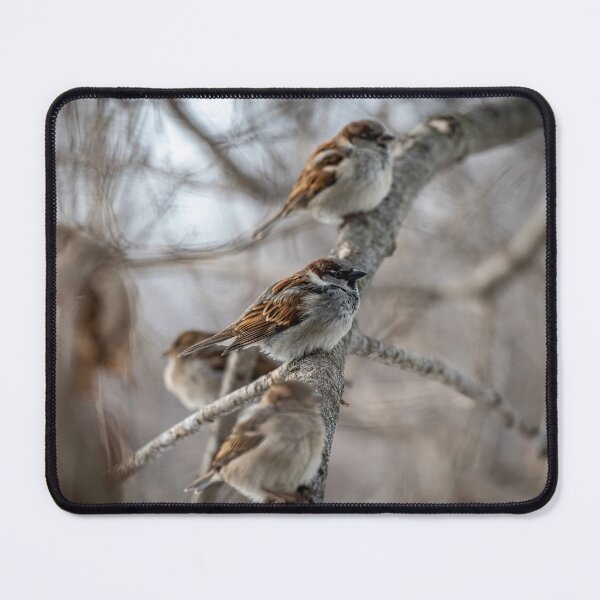 Item preview, House Sparrow designed and sold by Michael Cummings.