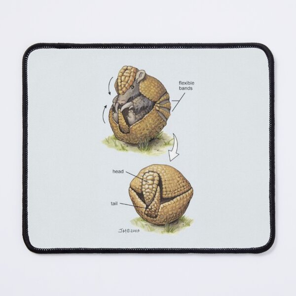 Item preview, Copy of Phases of the Tatu Mulita designed and sold by PatronesKawai.