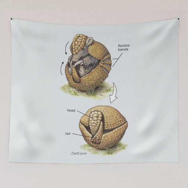 Item preview, Copy of Phases of the Tatu Mulita designed and sold by PatronesKawai.