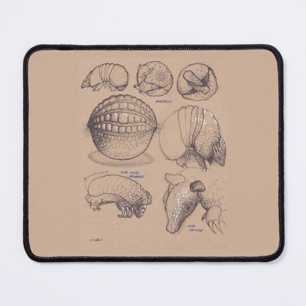 Item preview, Technical Drawing Tatu Mulita designed and sold by PatronesKawai.