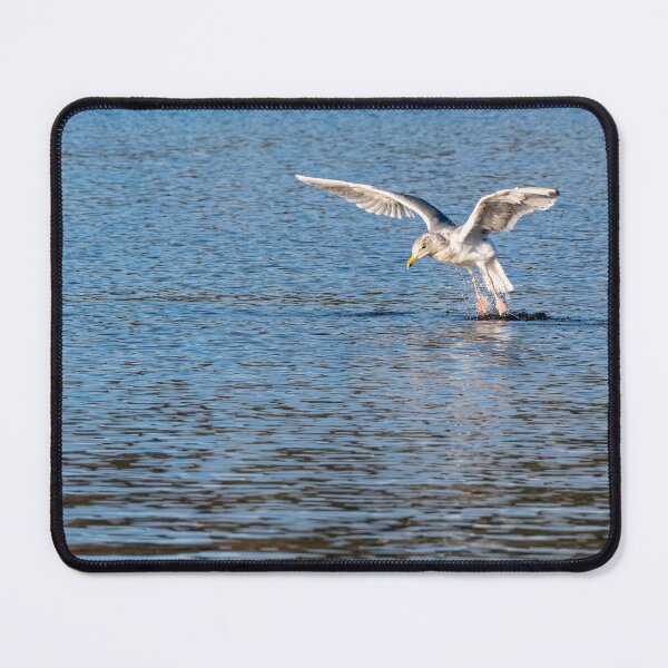 Item preview, Gull Leaping from Water designed and sold by lisavonbiela.