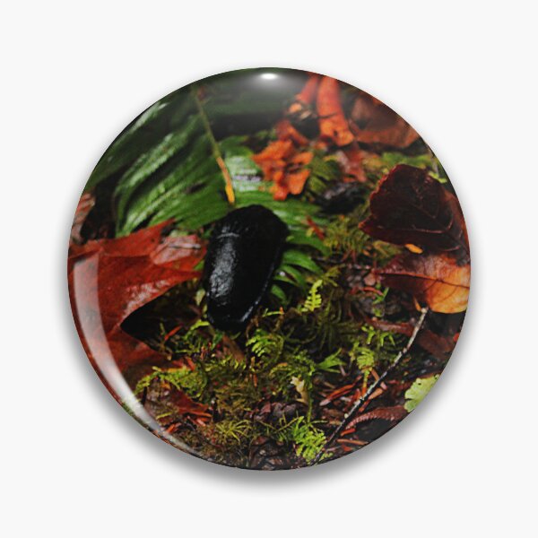 Item preview, Black Slug in Fall Foliage designed and sold by Buzzy-Bee123.