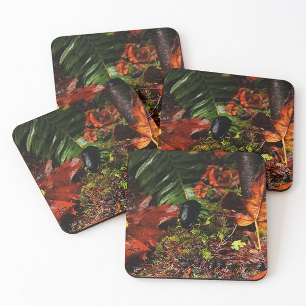 Item preview, Black Slug in Fall Foliage designed and sold by Buzzy-Bee123.