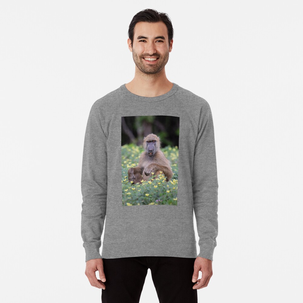 Vista previa del artículo con la obra «Sudadera ligera», diseñado y vendido por LeandroNazar.