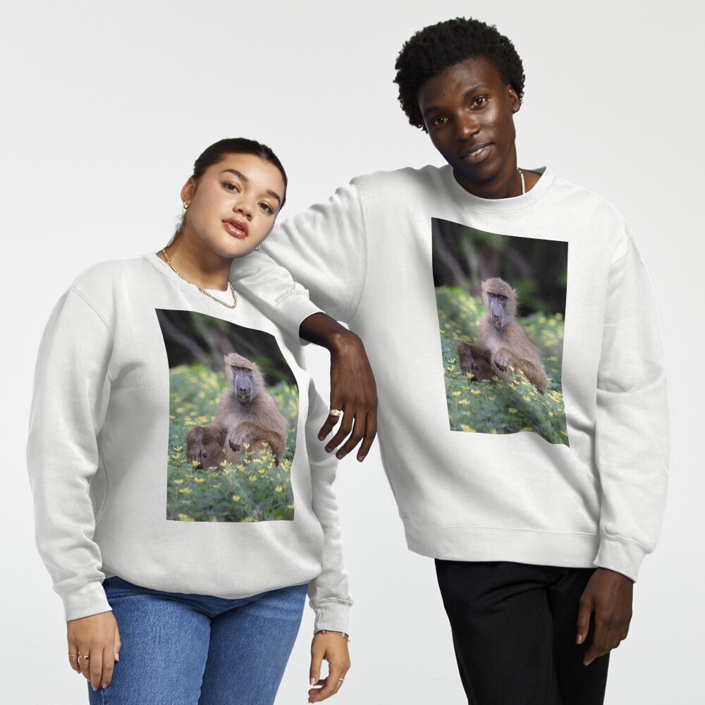 Vista previa del artículo con la obra «Sudadera sin capucha», diseñado y vendido por LeandroNazar.