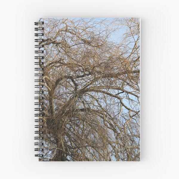 Item preview, Branches Against Blue Sky designed and sold by jzmurdock.