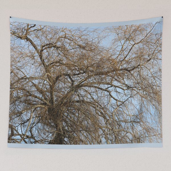 Item preview, Branches Against Blue Sky designed and sold by jzmurdock.