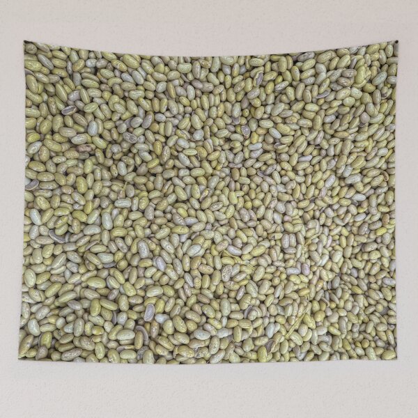 Item preview, Canary Peruvian Mayocoba Lima Beans Frijoles Peruano designed and sold by SanArtcisco.