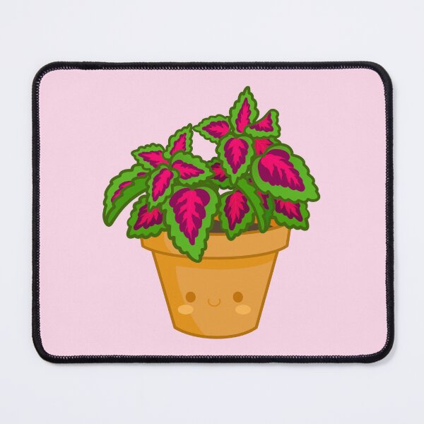 Item preview, Kawaii Coleus Plant designed and sold by bumblebreeart.