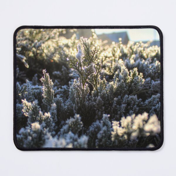 Item preview, Winter Is Beautiful  designed and sold by Vicki Spindler (VHS Photography).
