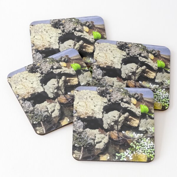 Item preview, Mud Flats with Pond designed and sold by Spaghetti13.