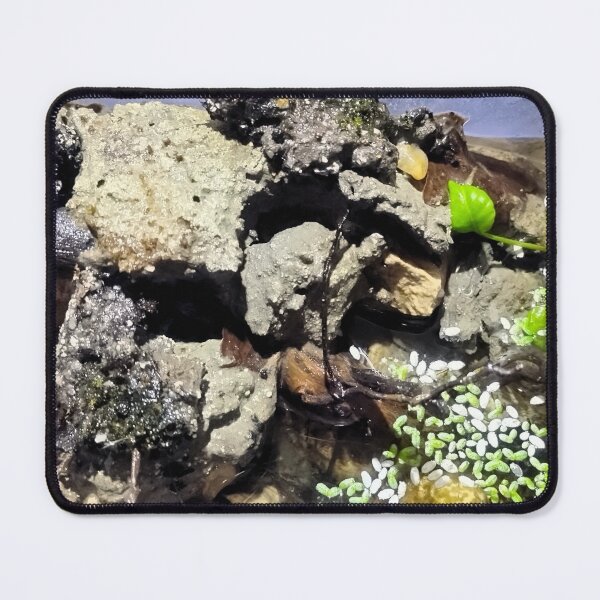 Item preview, Mud Flats with Pond designed and sold by Spaghetti13.