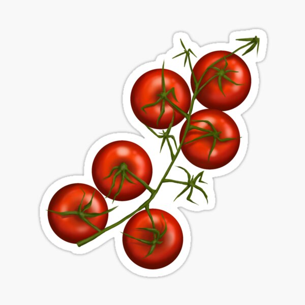 Artikel-Vorschau von Tomaten an der Rebe, designt und verkauft von Britney Deveault.