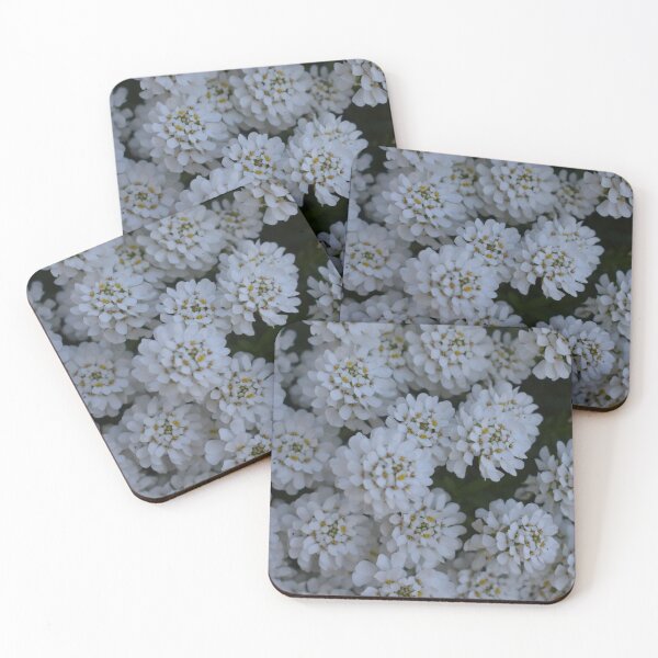 Item preview, Blossom Delicacy designed and sold by JDivine´s-Nature.