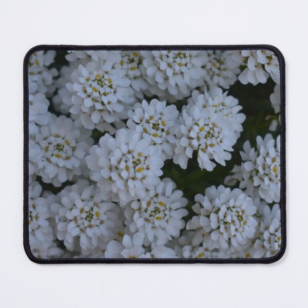 Item preview, Blossom Delicacy designed and sold by JDivine´s-Nature.