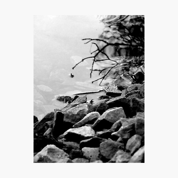 Fading away... Photographic Print